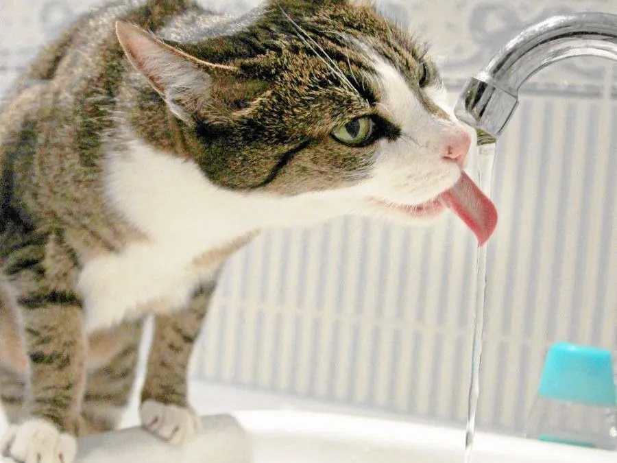 Ile wody leci z kranu na godzinę? Sprawdź, ile naprawdę płacisz